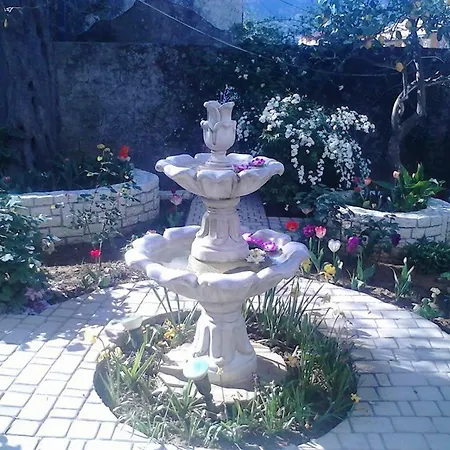 Blue Flowers Benitses (Corfu)