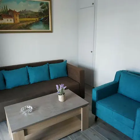 Apartment Blue Flowers *