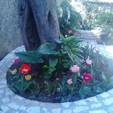 Blue Flowers